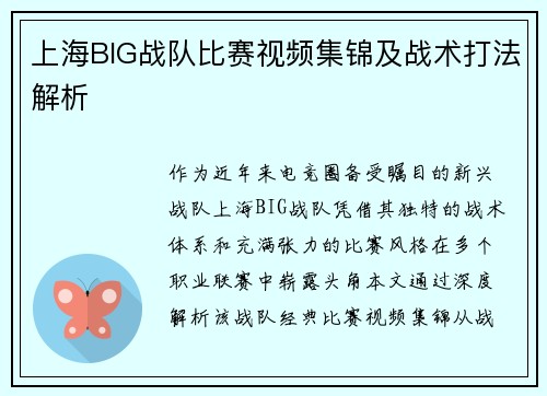 上海BIG战队比赛视频集锦及战术打法解析